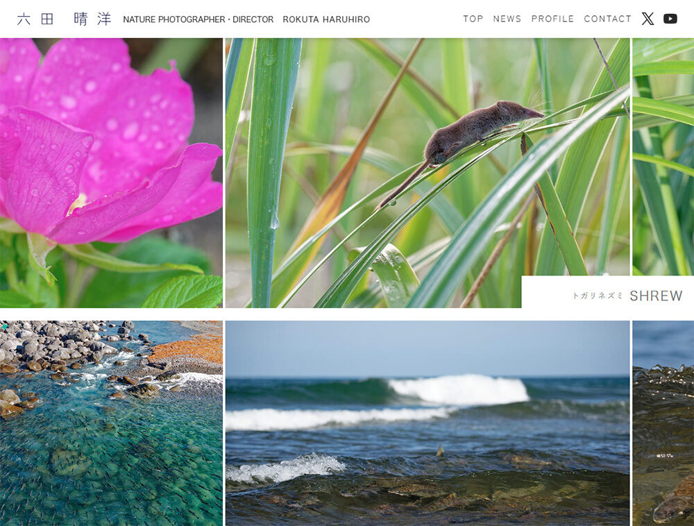 自然写真家・ディレクター様Webサイト